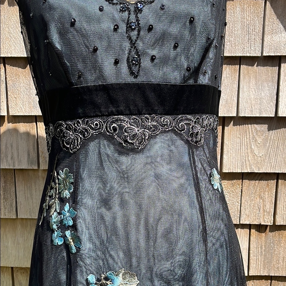 NWT Adriana Papell lace embroidered net sheer dress- gown- Size 10 - Picture 9 of 17